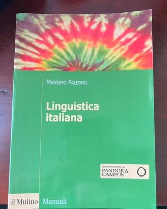 Libro Linguistica Italiana (Massimo Palermo)