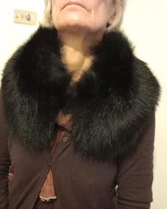 Collo di Volpe