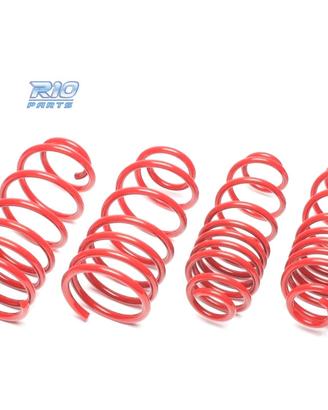 KIT MOLLE SPORTIVI PER SUZUKI