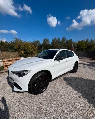 Alfa Romeo Stelvio 2.2 210 CV Q4 B-Tech – 2019
