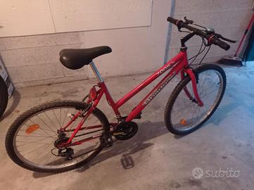 Bicicletta MTB uomo