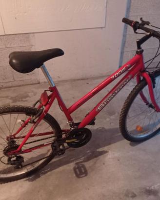 Bicicletta MTB uomo