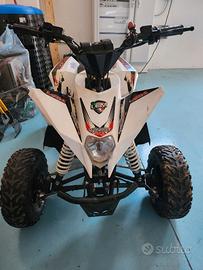 mini quad