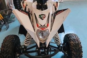 mini quad