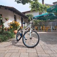 Bicicletta in alluminio