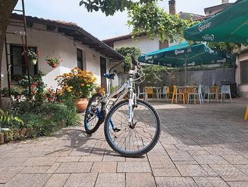 Bicicletta in alluminio