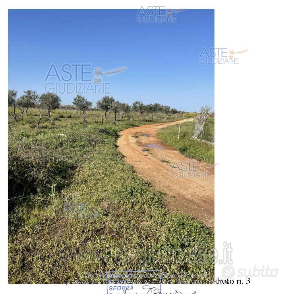 Terreno Agricolo Mola di Bari [A4294260] - Vista 4