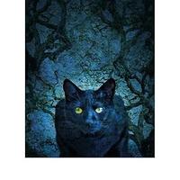 Racconti – C. Valerio- E. Ensler