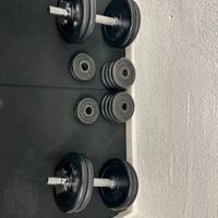 Manubri Carnelli 32 kg con dischi misti (gommati +