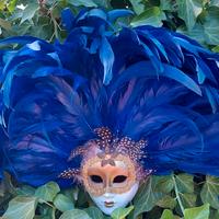 Maschera Veneziana collezione