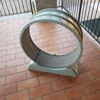 Ruota per gatti