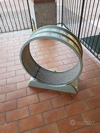 Ruota per gatti