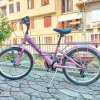 ATALA BIMBA 20"