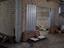 Immagine 25