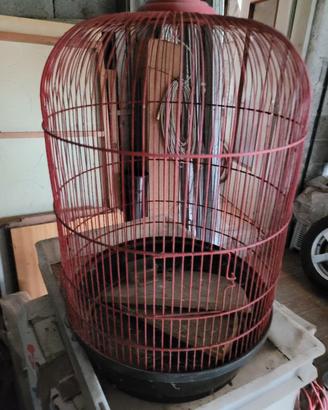 gabbia x volatili 