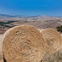 Paglia Pressata in balloni