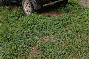 L200 con lavori da fare 