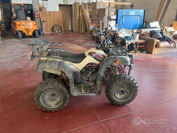 Lem Altro modello - 2019 UMMER