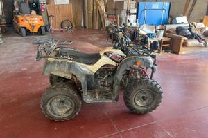 Lem Altro modello - 2019 UMMER