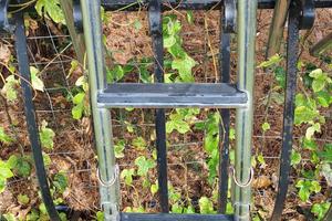 Coppia di plancette per barca in legno ed acciaio