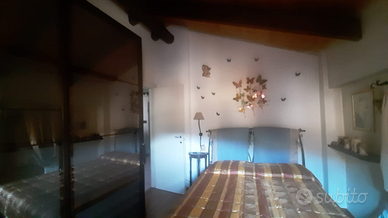 Privato affitta appartamento 50 mq