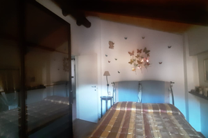 Privato affitta appartamento 50 mq