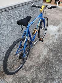 bicicletta MTB