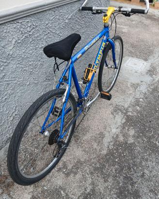 bicicletta MTB