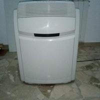 Climatizzatore pinguino DeLonghi caldo freddo 9000