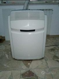 Climatizzatore pinguino DeLonghi caldo freddo 9000