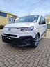fiat-doblo-trasporto-persone-disabili-pronta-conse
