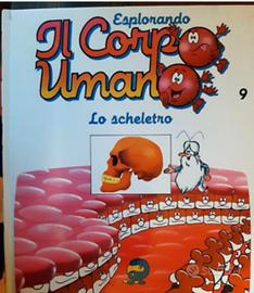 il corpo umano deagostini 