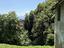Immagine 13