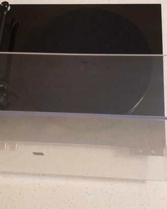 rega p1