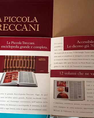 Enciclopedia Piccola Treccani,vocabolari. Garzanti