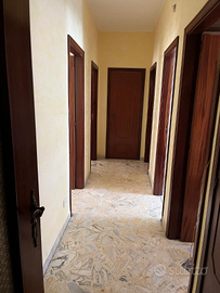 Disponibilità appartamento o singole stanze