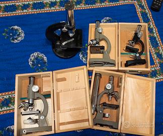 Microscopi vintage con scatole in legno