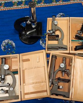 Microscopi vintage con scatole in legno