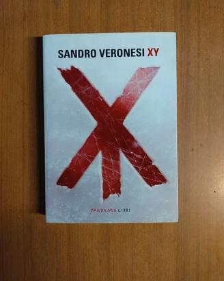 Sandro Veronesi - XY