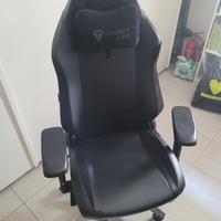 Sedia ufficio/gaming Secretlab titan evo 