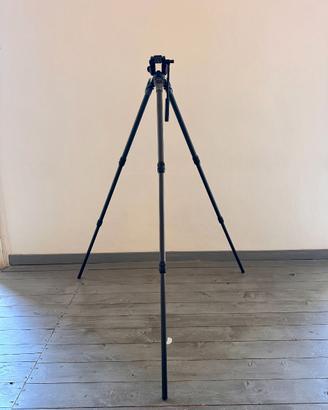 cavalletto GITZO G 13138 carbonio+ testa MVH500A