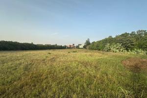 Terreno Agricolo Barcellona Pozzo di Gotto
