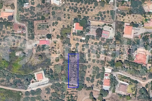 Terreno Agricolo Altavilla Milicia [TerM/7VRG]