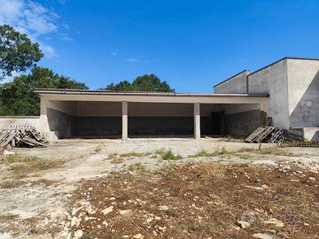 Zona Noci :Capannoni ,stalle, terreni e bosco