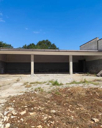 Zona Noci :Capannoni ,stalle, terreni e bosco