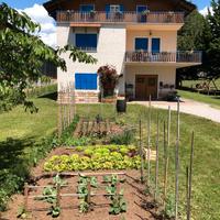 Cavareno (TN) Miniappartamento adiacente parco