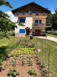 Cavareno (TN) Miniappartamento adiacente parco