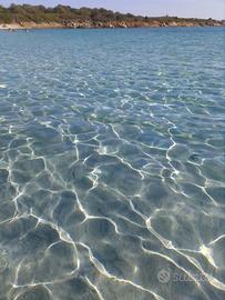 Bilocale 4 posti letto