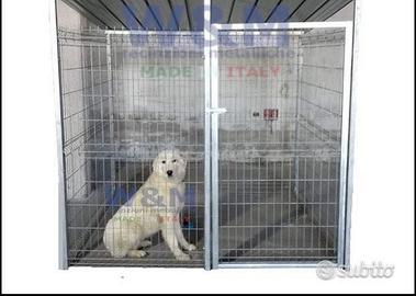 Box per cani recinzioni metalliche A212