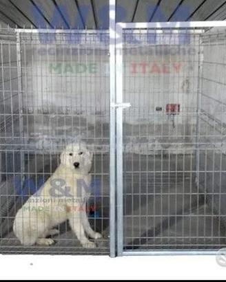 Box per cani recinzioni metalliche A212
